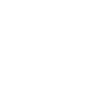 News icon